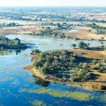Managing Botswana’s Forests