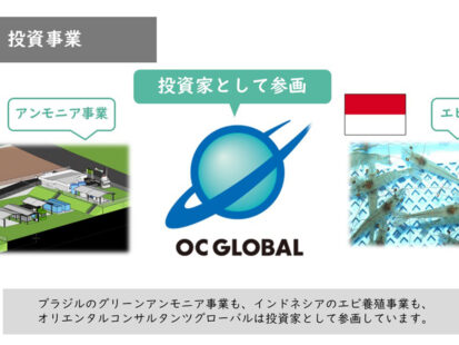 OC Global 動画公開 総合コンサルタント 投資事業編