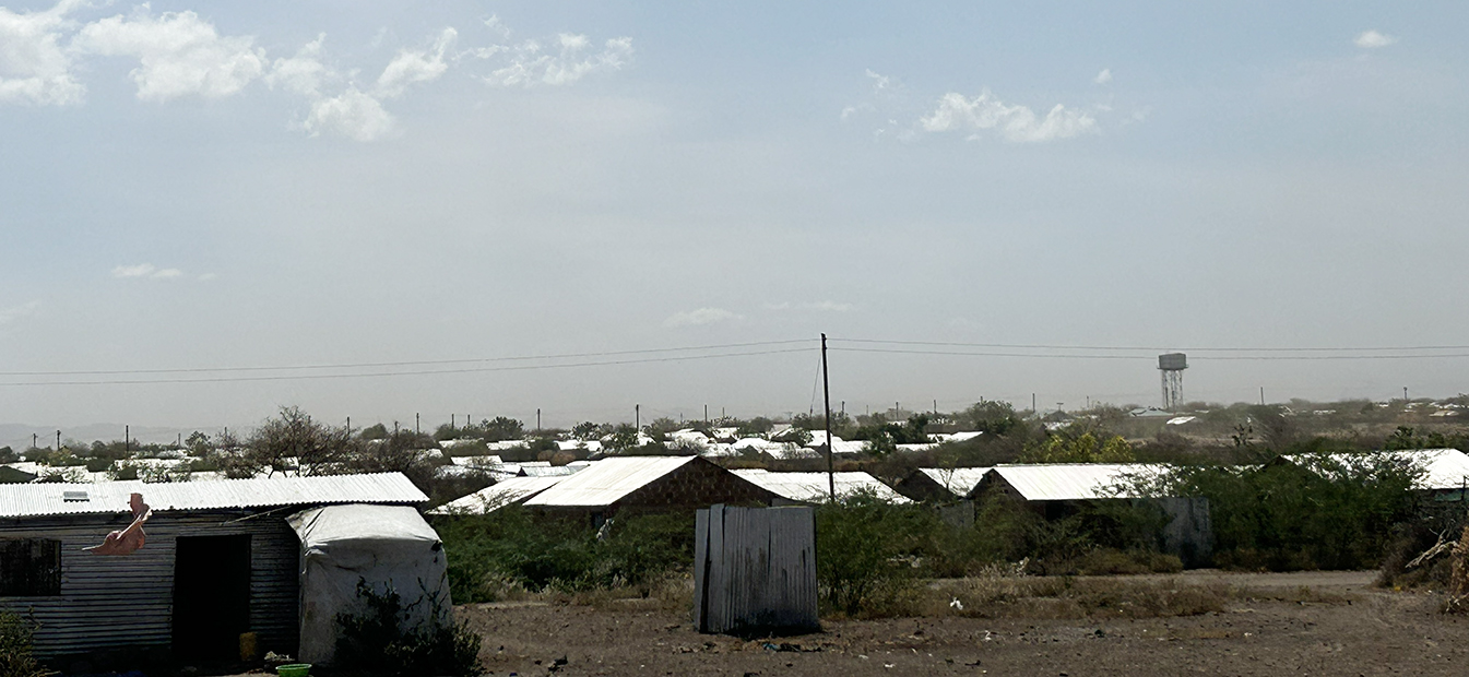 260304_Africaキャッチ